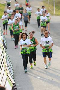 BIB: 
                            <button type="button" onclick="openModal(3540326)" class="btn btn-primary btn-sm float-right btn-popup" data-toggle="modal" data-target=".modal-high-quality">
                        <i class="fas fa-shopping-cart"></i> Add to Cart
                    </button>
                                            <button type="button" onclick="isThisMe(3540326, true)" class="btn btn-success btn-sm float-right btn-popup btn-isme hidden" data-toggle="tooltip" data-placement="bottom" title="นี่คือรูปของคุณใช่ไหม คลิกที่นี่เพื่อเอาเข้าอัลบั้ม">
                        <i class="fas fa-plus"></i> Add to album
                    </button>
                    <button type="button" onclick="isThisMe(3540326, false)" class="btn btn-warning btn-sm float-right btn-popup btn-isnotme hidden">
                        <i class="fas fa-ban"></i> Remove from album
                    </button>